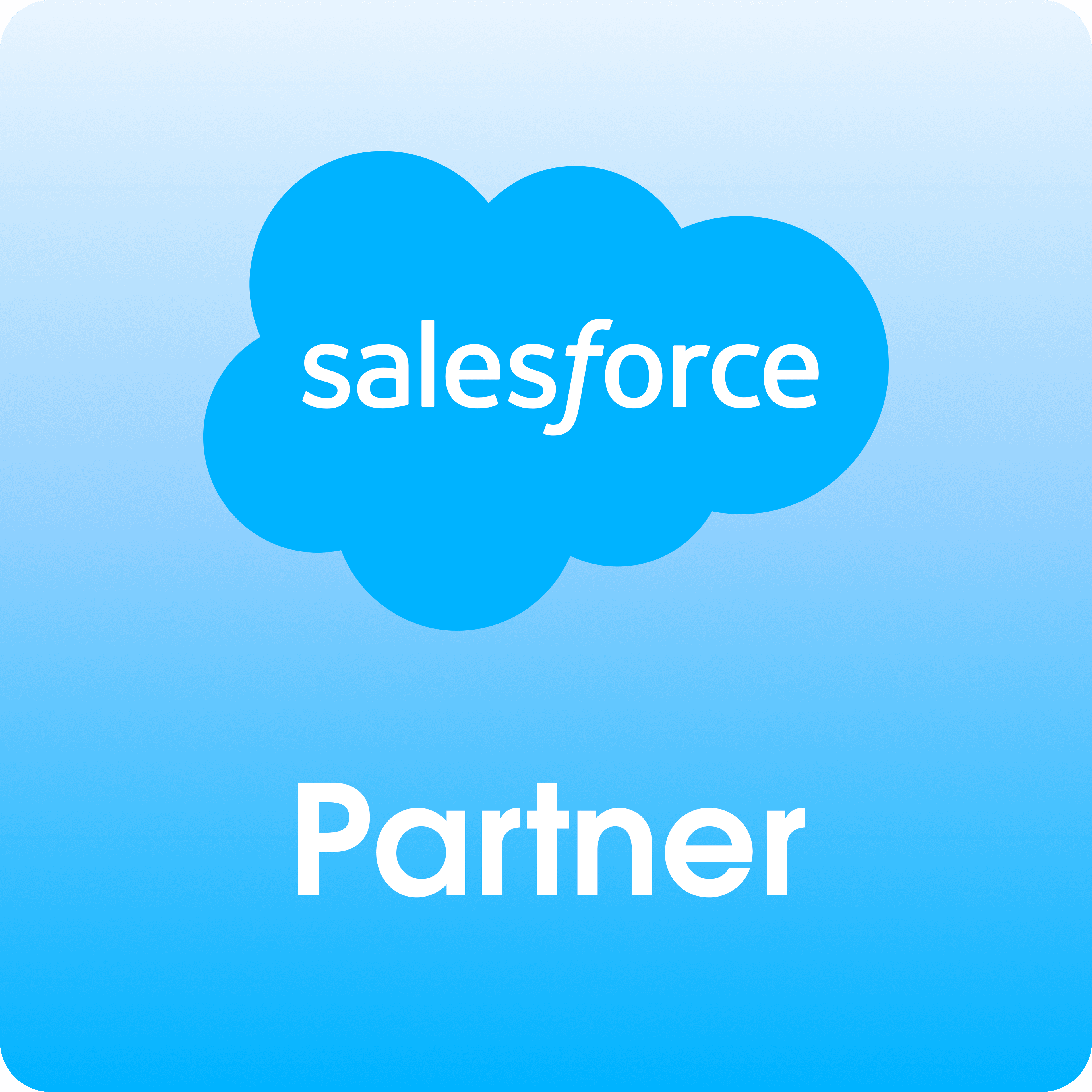 Salesforce Partner